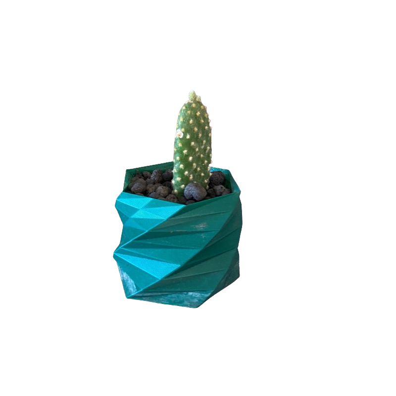 Opuntia