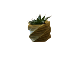 ALOE