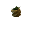 ALOE