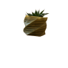 ALOE